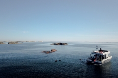 Triton och dykare